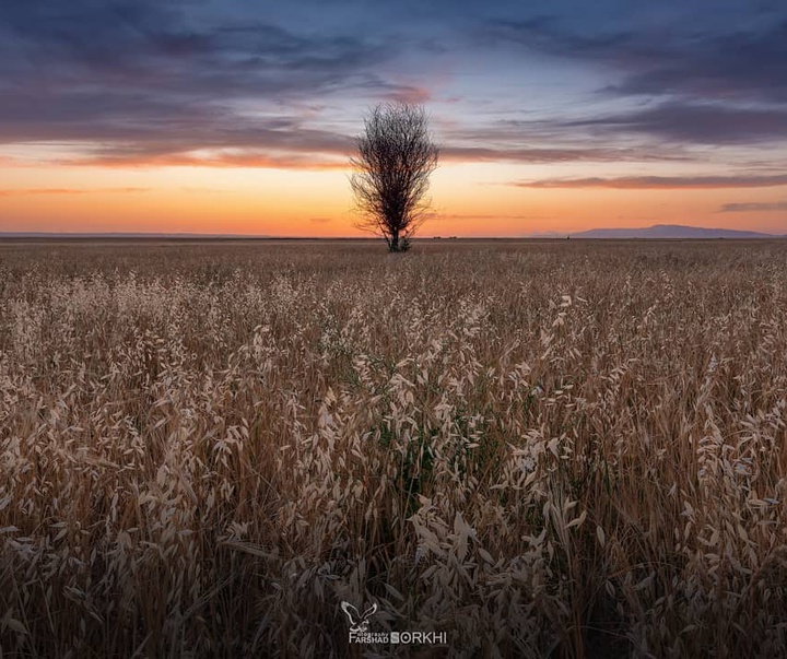 Gallery of photography by Farshad Sorkhi-Iran