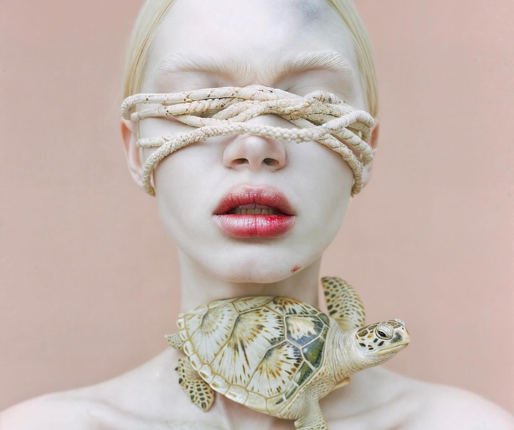 Gallery of Modern Art by Mira Nedyalkova - Bulgaria