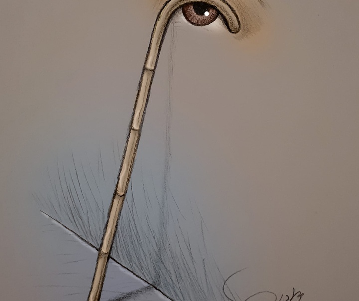 seyyed mahmoud javadi