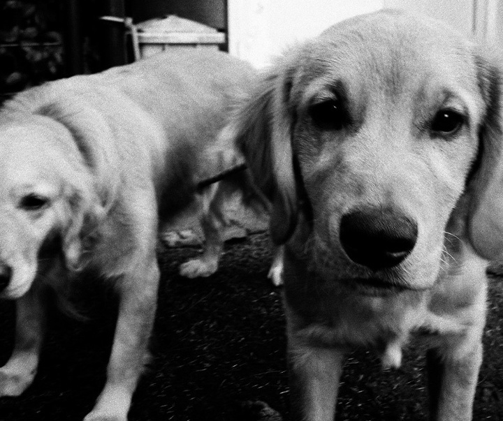 Gallery of Photography by Tatsuo Suzuki - Japan