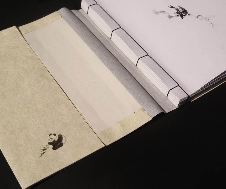 Gallery of Graphics by Fabian Shinzato - Brazil