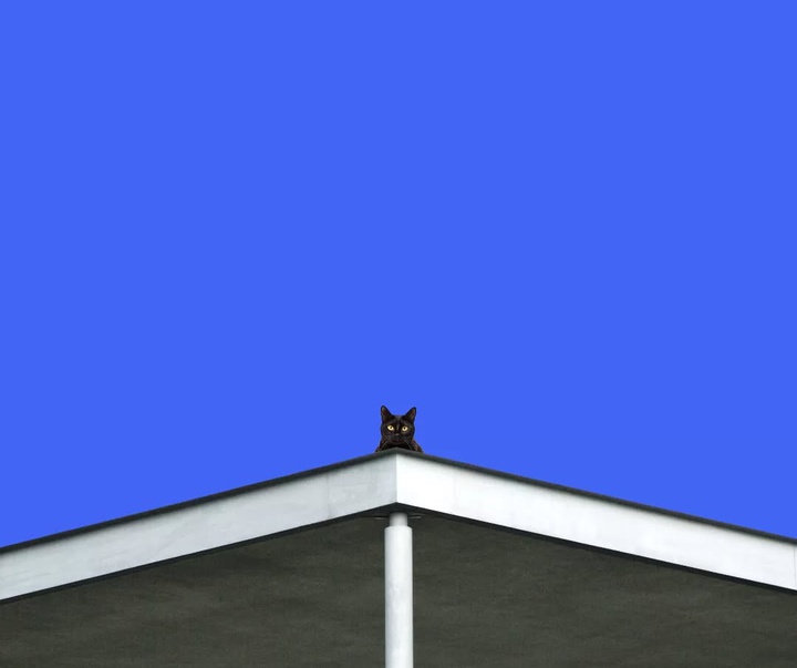 Gallery of Photography by Benjamin Wolf - USA