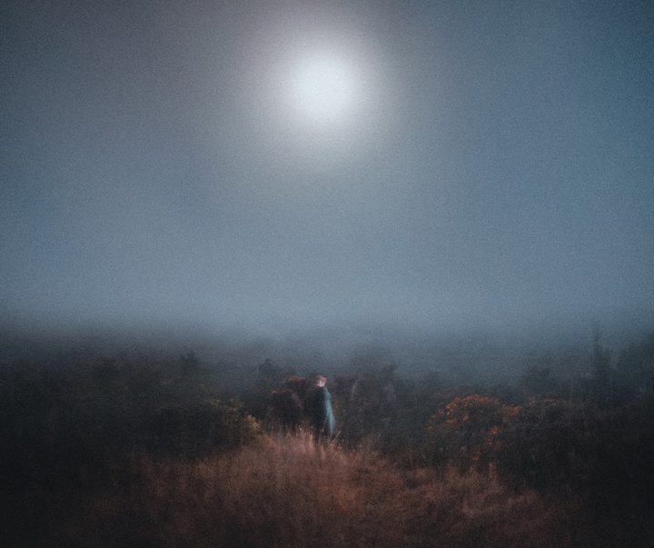 Gallery of Photography by Josiah Farrow - USA