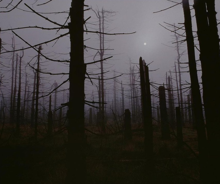 Gallery of Photography by James Nachtwey - USA