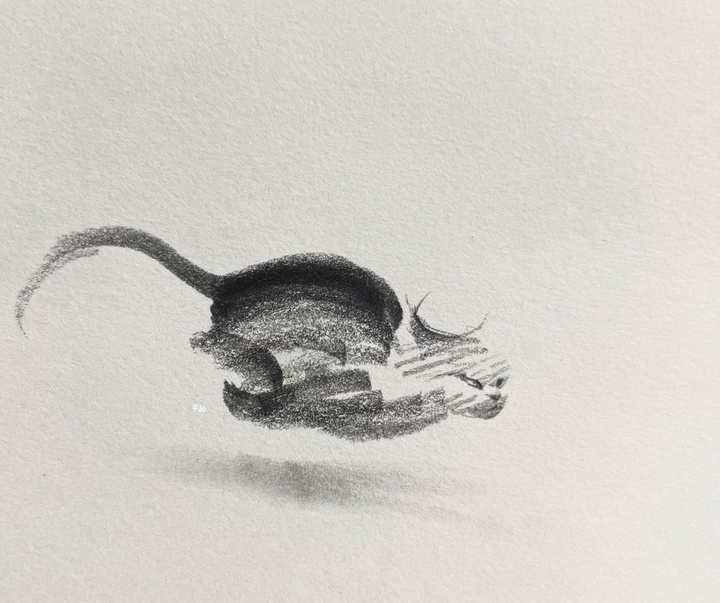 Gallery of Drawing by Shou Xin - China