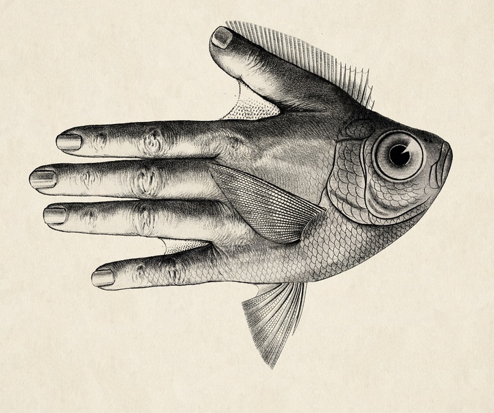 Gallery of Illustration by Beto Valencia - Ecuador
