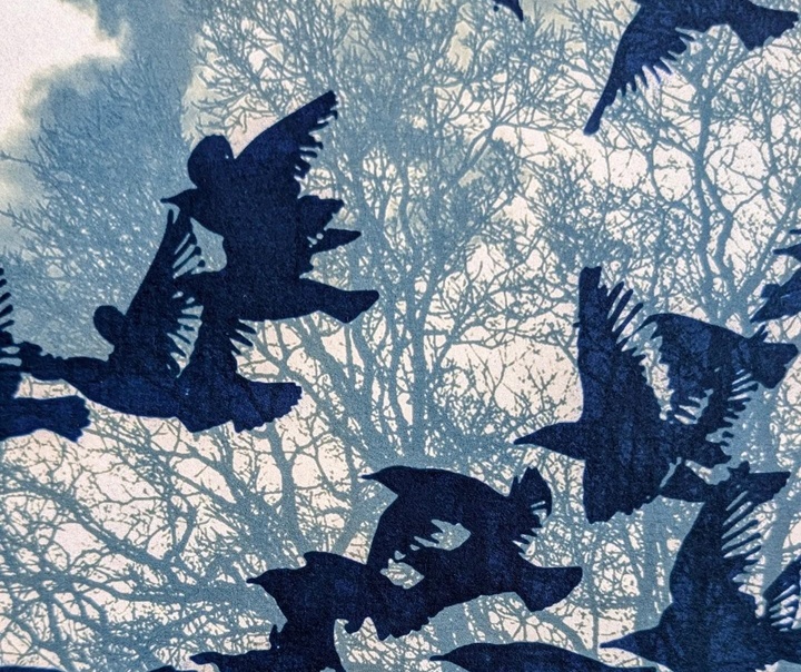 Jane Constable