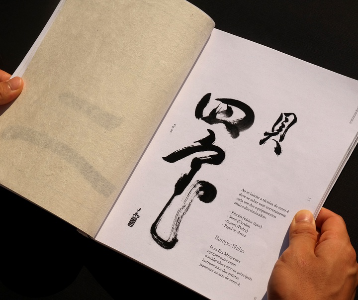 Gallery of Graphics by Fabian Shinzato - Brazil