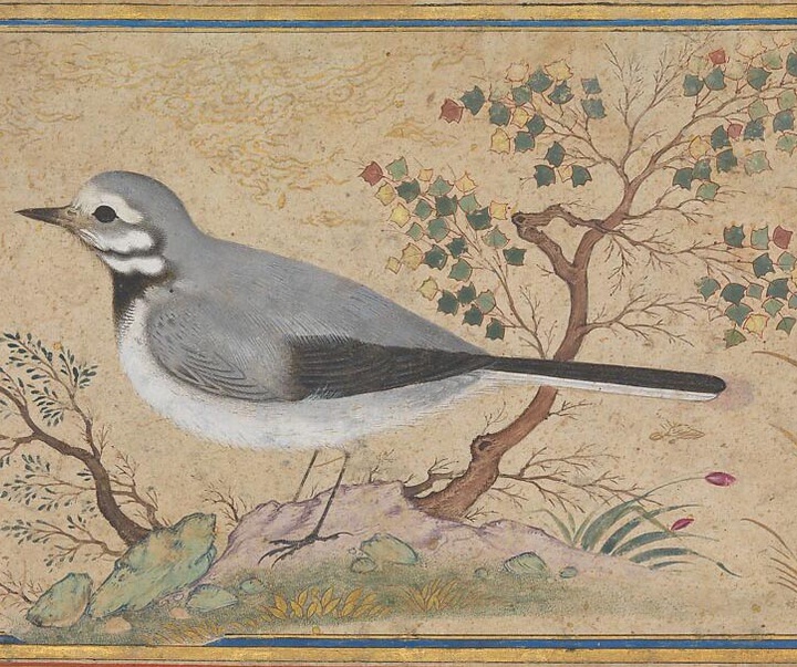 A gallery of the best paintings by Reza Abbasi - Iran