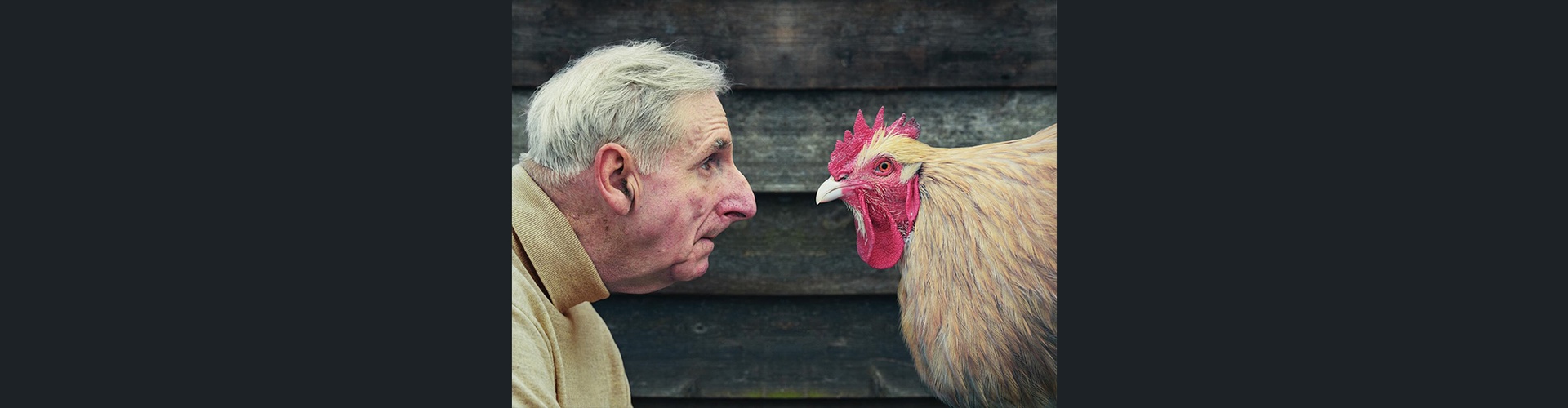 Gallery of Photography by david stewart