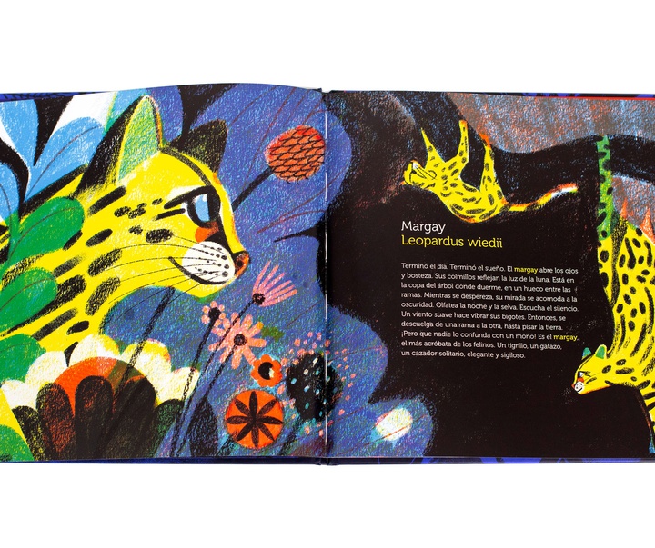 Gallery of Illustration by Cynthia Alonso - Argentina