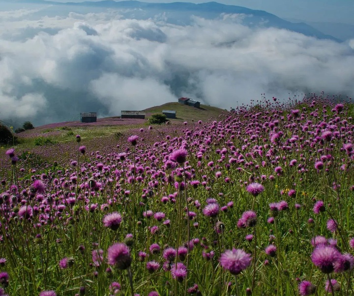 Gallery of Photography by Javad Jahanbin- Iran