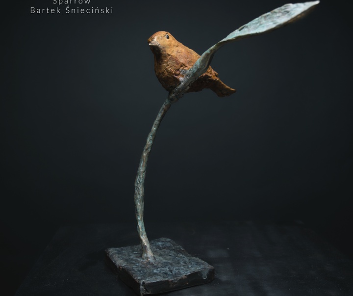 Gallery of Sculpture by Bartek Śnieciński - Poland