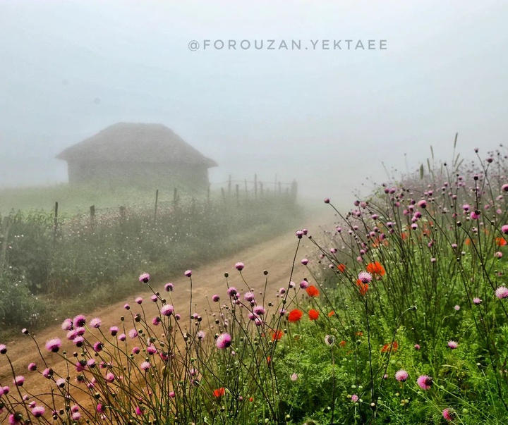 Gallery of Photography by Forouzan Yektaee-Iran