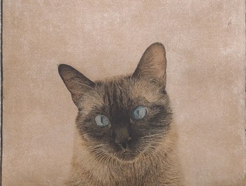 Gallery of Painting by Marta de la Sota Cores - Spain