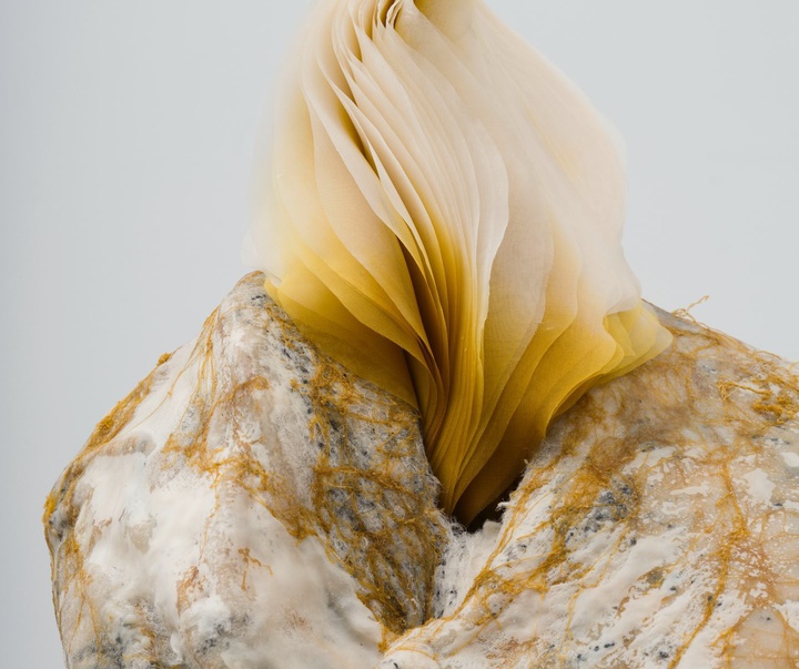 Gallery of Sculpture by Marguerite Humeau - France