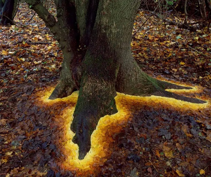 Gallery of Modern Art by Andy Goldsworthy - England