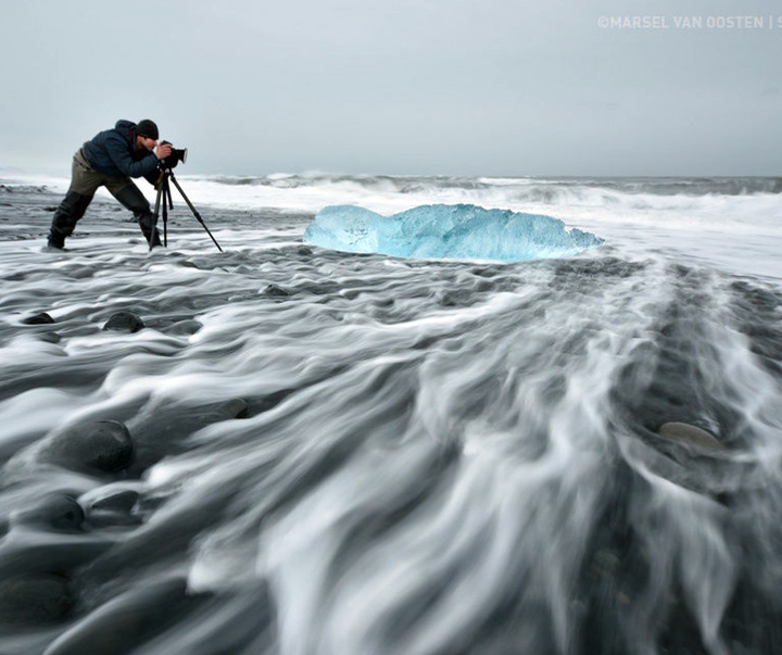 Gallery of Photography by Marsel van Oosten- Netherlands