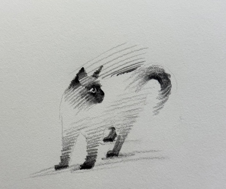 Gallery of Drawing by Shou Xin - China