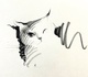 Shou Xin