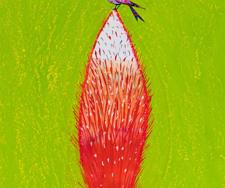 Gallery of Illustration by Brian Wildsmith - UK