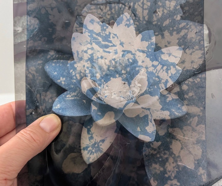 Gallery of Painting & Photography by Jane Constable - UK