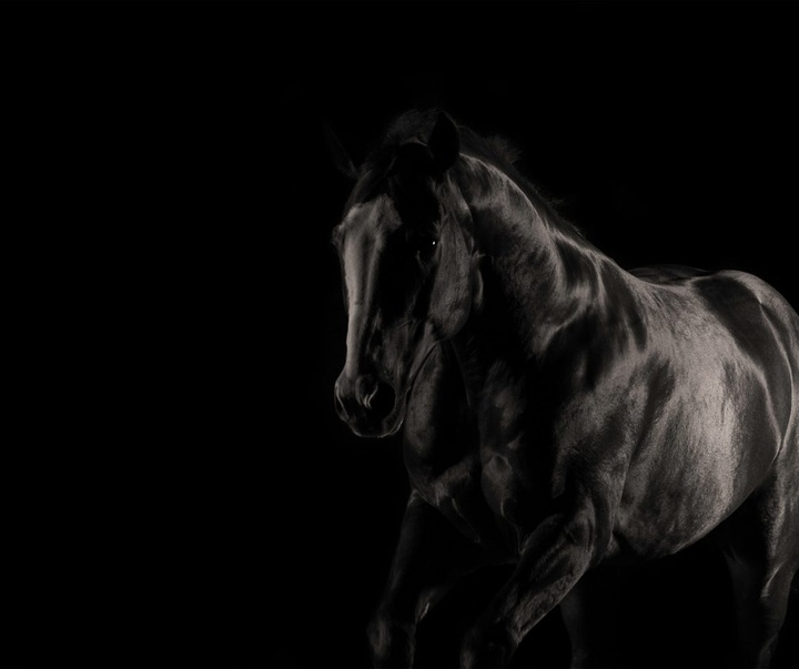 Gallery of Photography by Constance Jaeggi - Switzerland