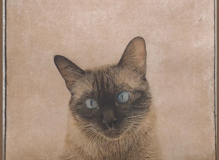 Gallery of Painting by Marta de la Sota Cores - Spain