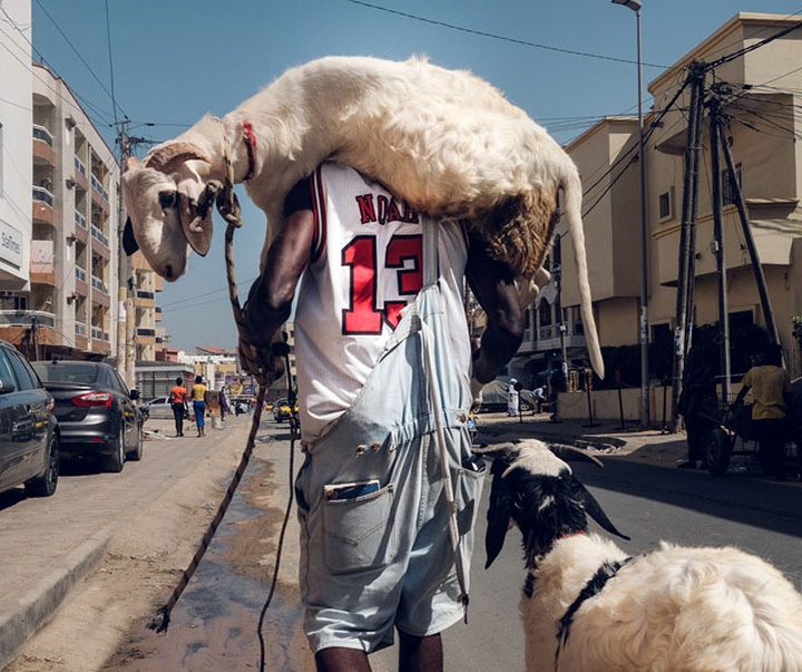Gallery of photography by Skander Khalif-Tunisia