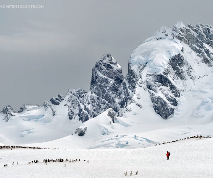 Gallery of Photography by Marsel van Oosten- Netherlands