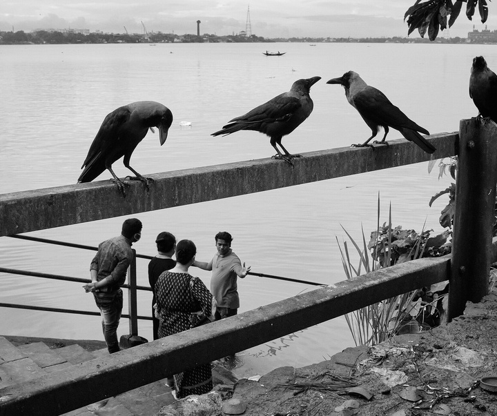 Gallery of Photography by Subhran Karmakar-India