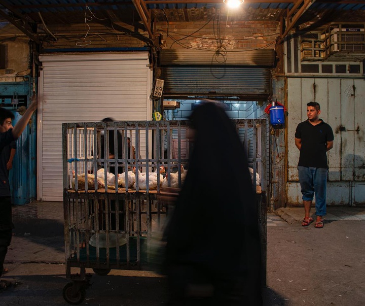 Gallery of Photo by Yasmin Hosseinnejad-Iran