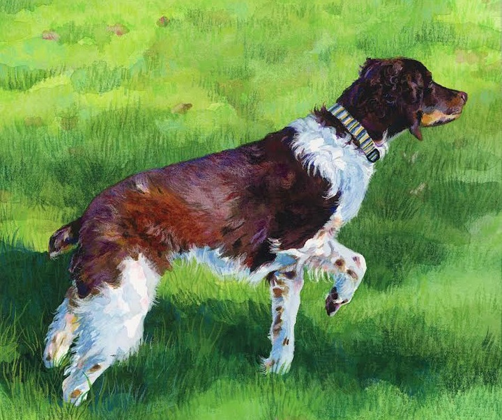 Gallery of Painting by Chloe Bren - USA