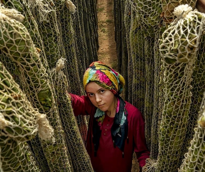 Gallery of photography by Dr.Aylin Yildirim - Turkey