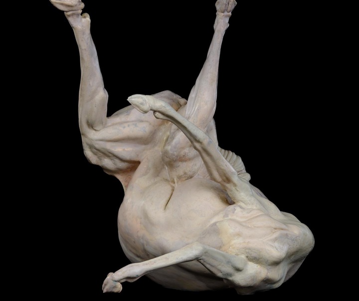 Gallery of Sculpture by Gino Lucas - Belgium