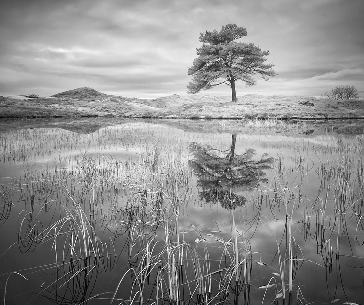 Gallery of photography by Noel Bodle - England