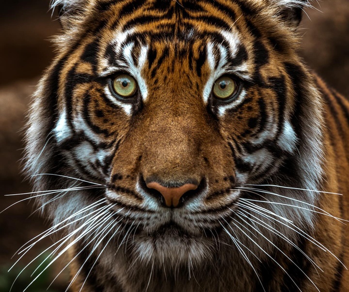 Gallery of Photography by Abbey Bratcher Parish - USA