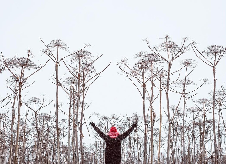 Gallery of photography by Kostya Terentev - Russia