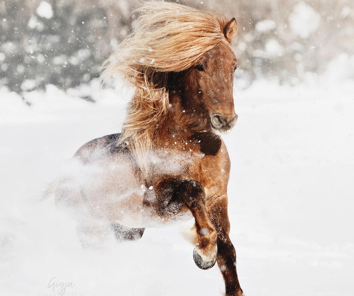 Gallery of Photography by Gigja Einars - Iceland