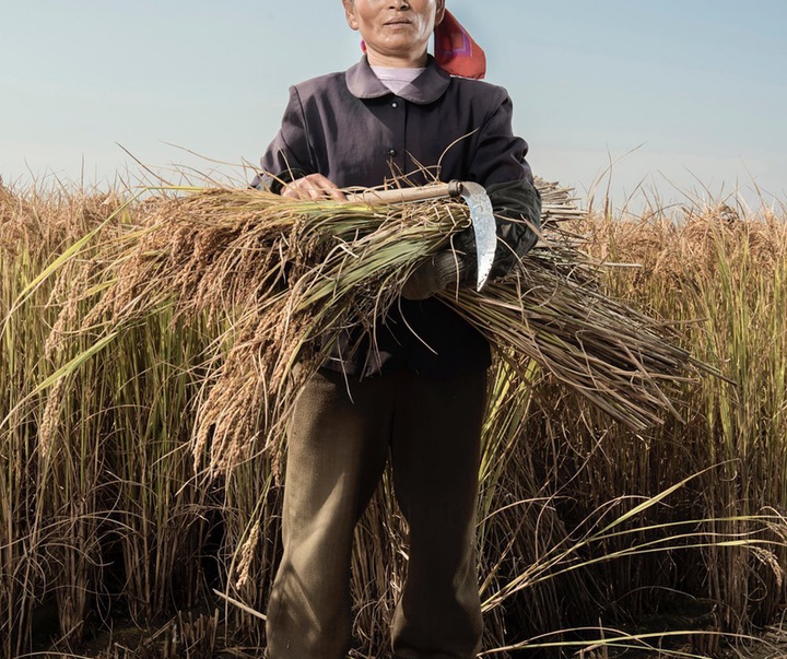 Gallery of North Korea photos by Stephan Gladieu