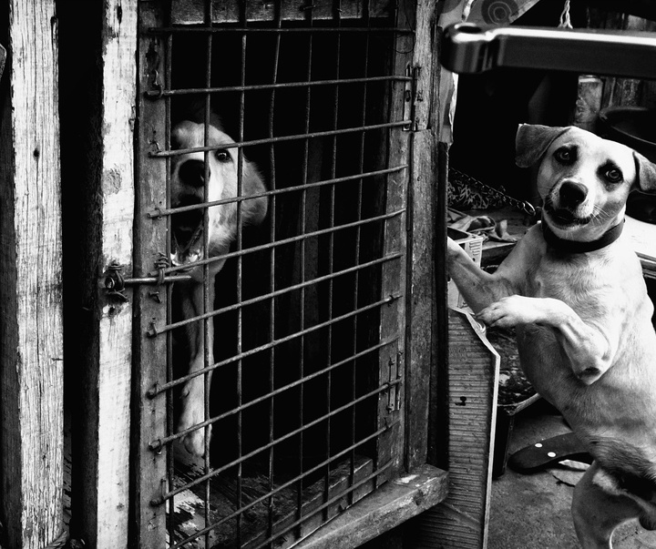 Gallery of Photography by Tatsuo Suzuki - Japan