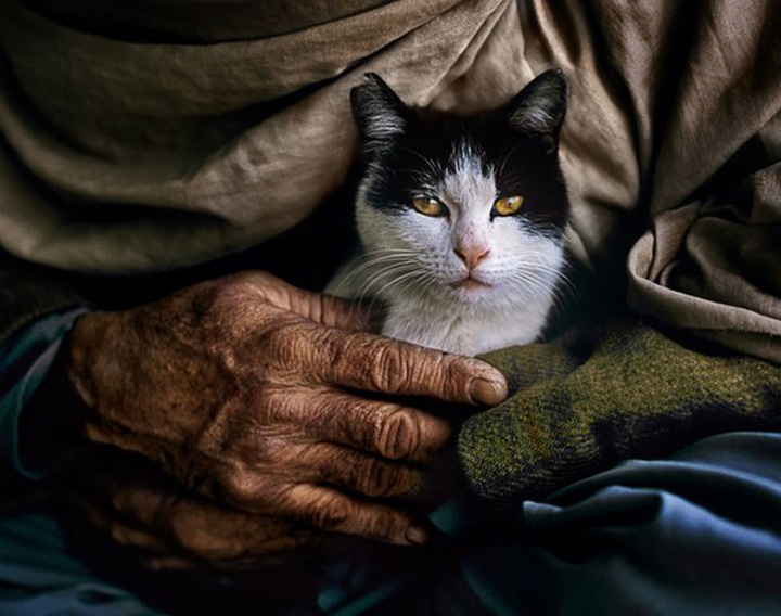 Gallery of Photography by Steve McCurry - USA