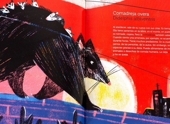 Gallery of Illustration by Cynthia Alonso - Argentina