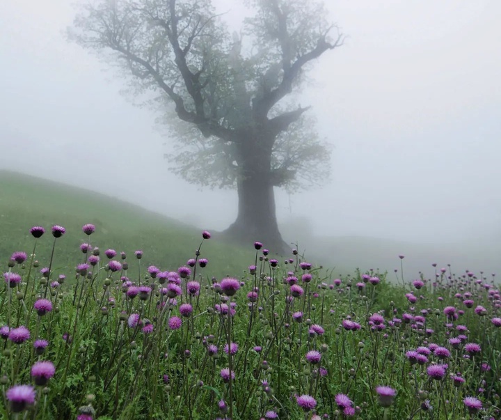 Gallery of Photography by Javad Jahanbin- Iran