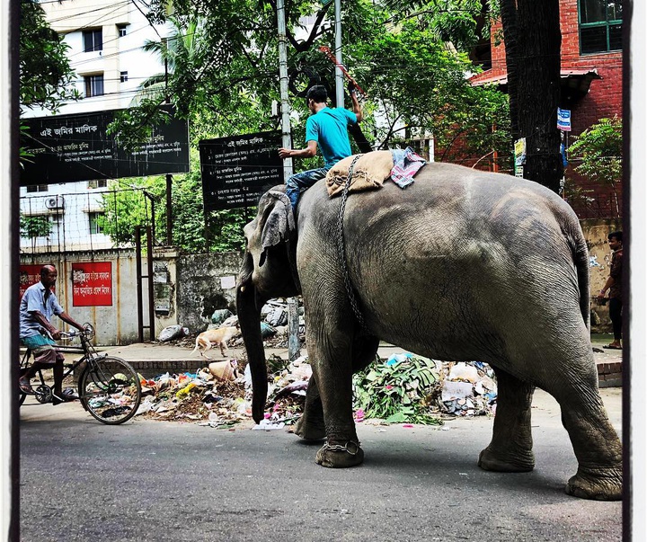 Gallery of photos by Shahidul Alam- Bangladesh