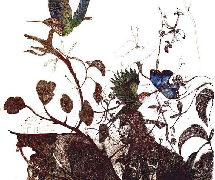 Gallery of drawing by Nathalie Tacheau - France