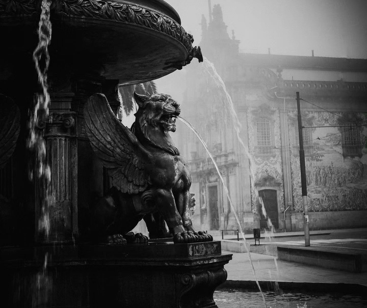 Gallery of Photography by João Cabral - Portugal