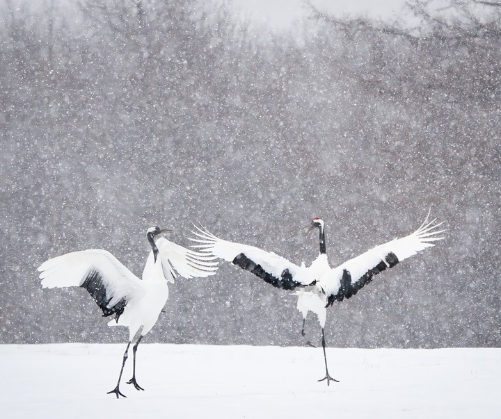 Gallery of Photography by Michael Yamashita - USA