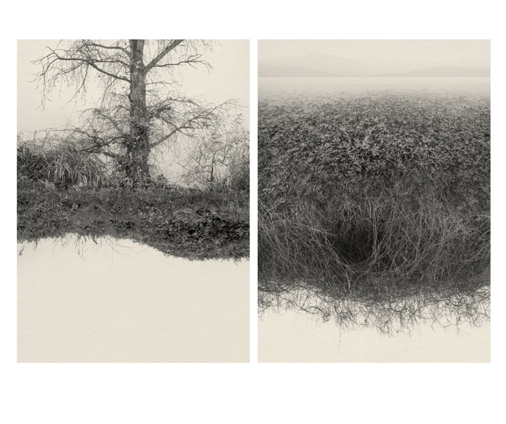 Gallery of Photography by Eva Chupikova - Slovakia
