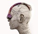 Gallery of Sculpture by Celine Chouvenc - France